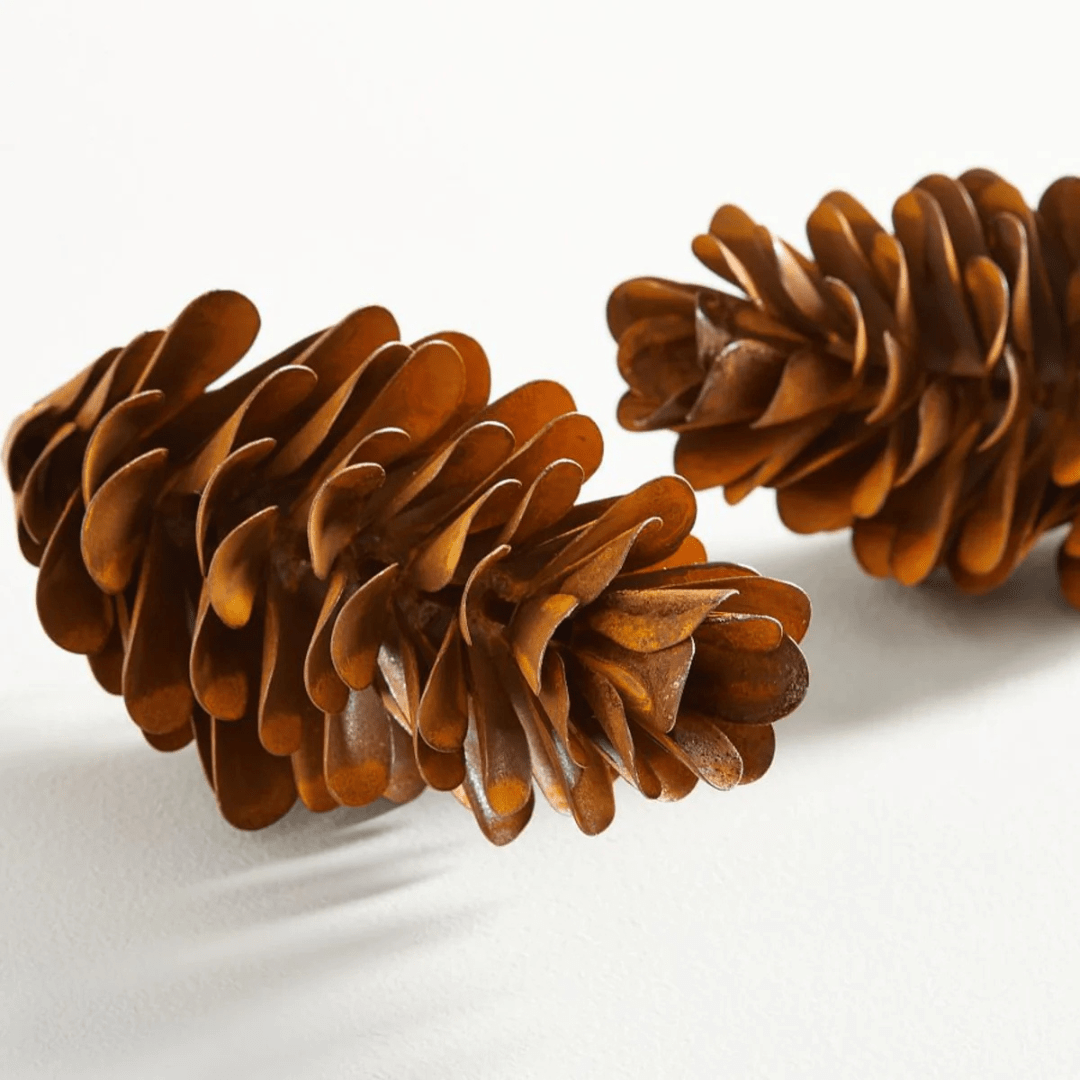 CHRISTMAS COLLECTION - ALBERO DI NATALE candle - SALA Caffe Co