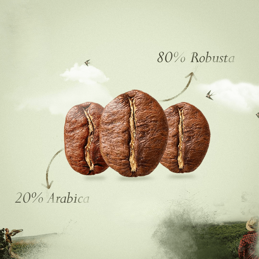 Caffè Ottavo - Intenso (Coffee Beans) 1 kilo - SALA Caffe Co