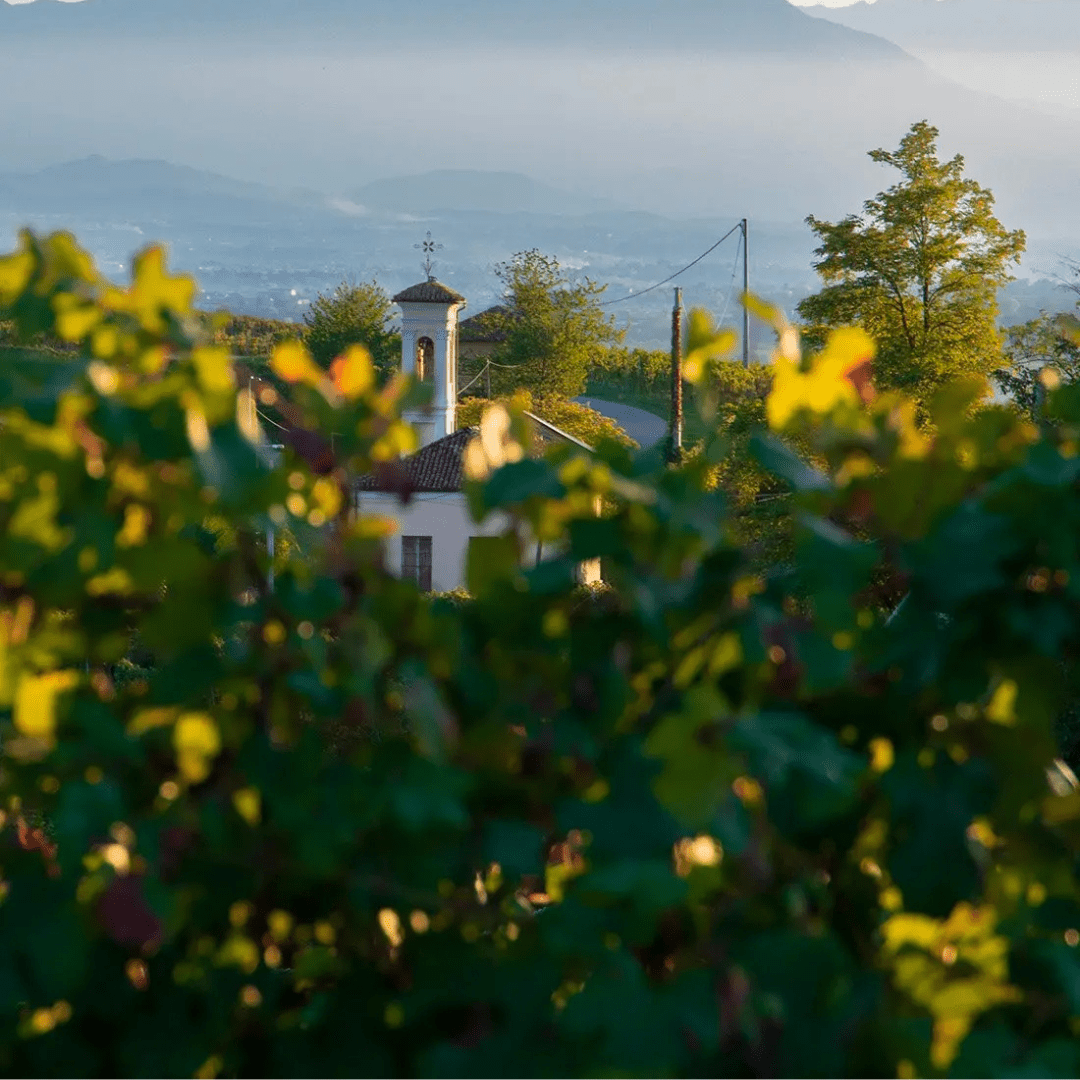 Chionetti 2021 Langhe Nebbiolo  Italian wine - SALA Caffe Co