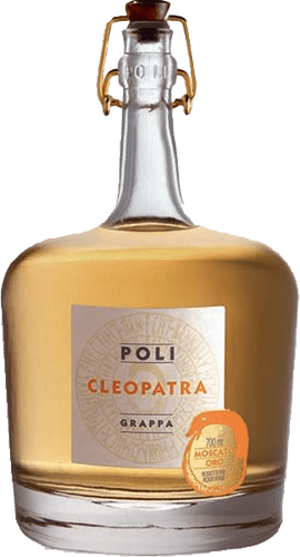 Cleopatra Moscato Oro Italian Grappa - SALA Caffe Co