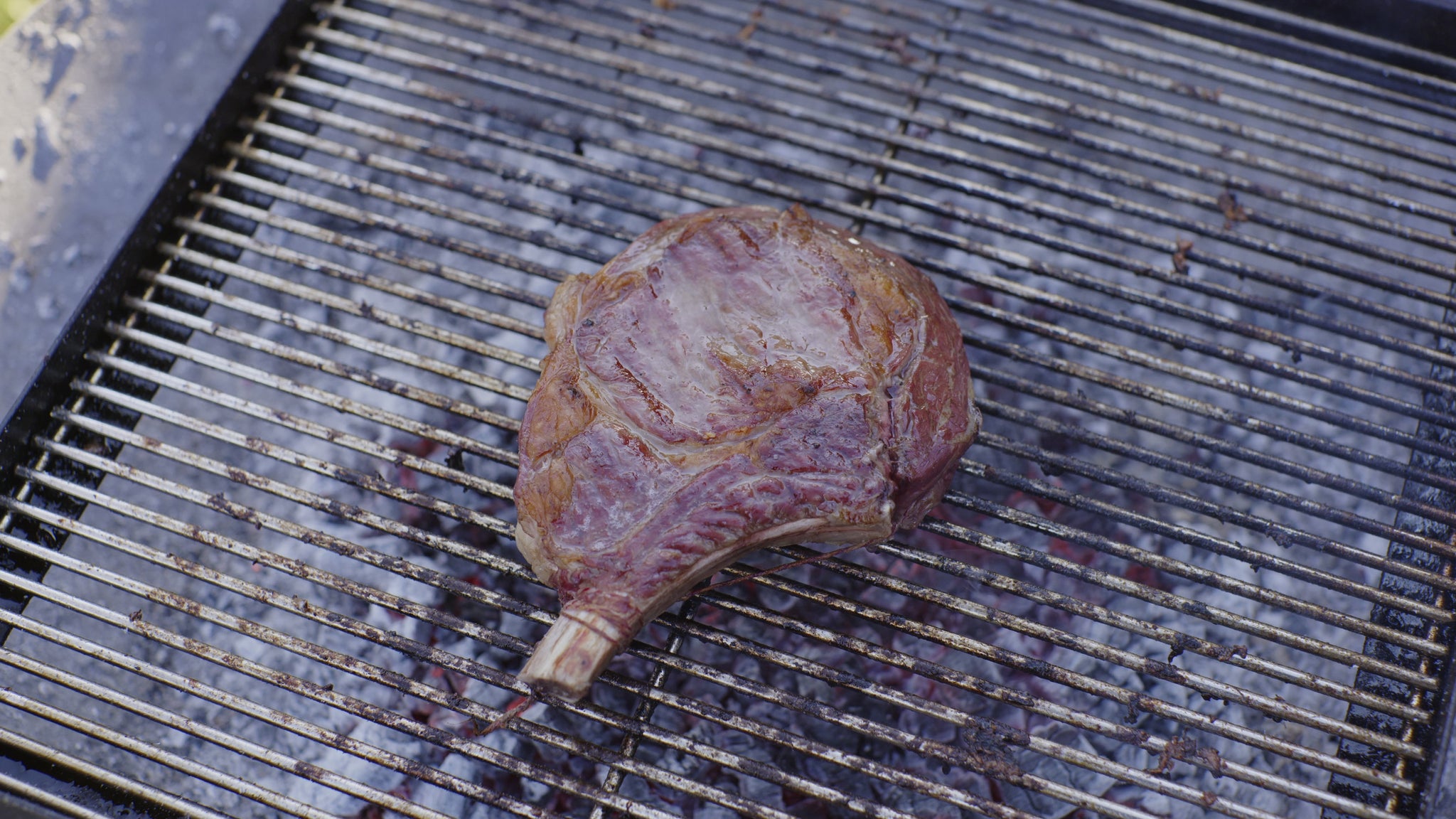 BBQ - Rib on the bone